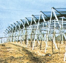 PALI PRECOMPRESSI per VIGNA PALI PRECOMPRESSI per VIGNA