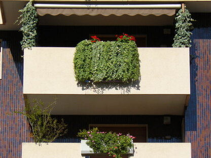Parapetti design #7