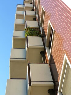 Parapetti design #11